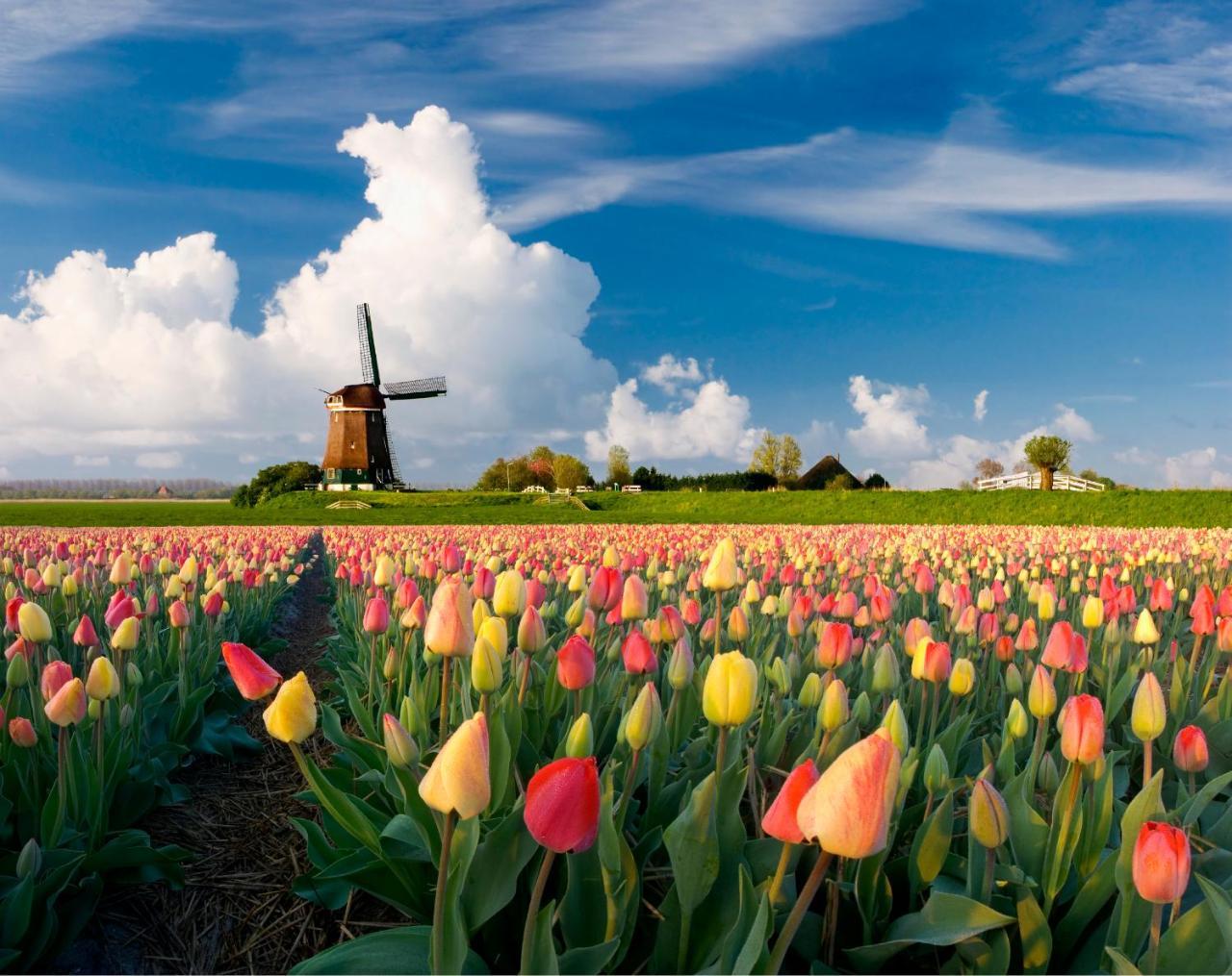 Hotel Crown Amsterdam Dış mekan fotoğraf